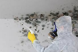 Best Real Estate Mold Inspection in Marienville, PA